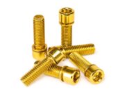 Kit tornillos de espiga Salt - Dorado